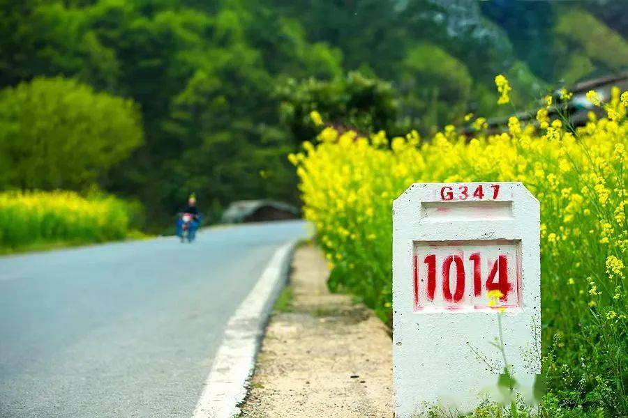 春光里的东宝|g347,一路美丽萦绕,带你徜徉春光里_河村_国道_马河镇