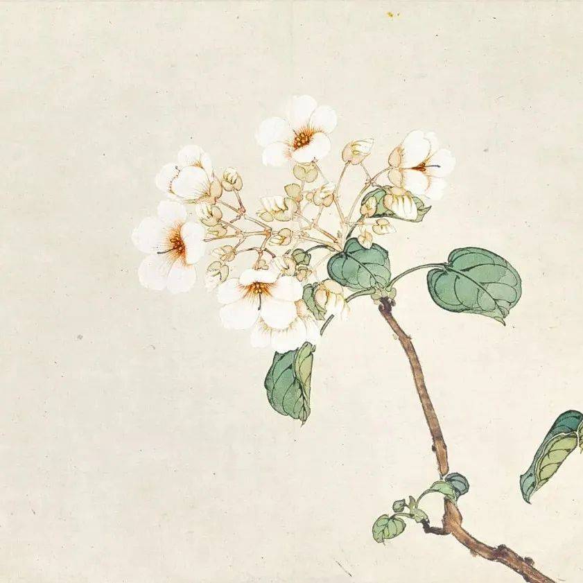 国画中的梨花,洁白透亮,令人心动_小鸟_田世光_陆抑