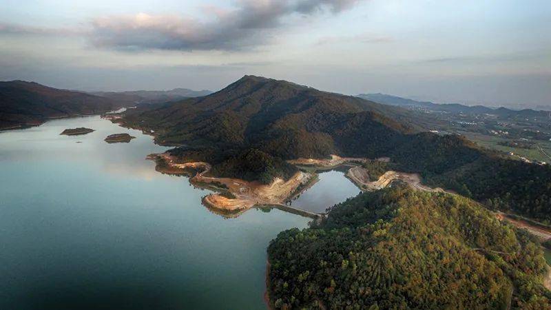 目前,觀洞水庫的環湖道路和灌木都已基本建好,觀洞森林公園還有部分