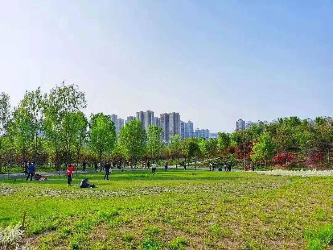 来常宁新区,这里春光无限好~_公园_步道_春色