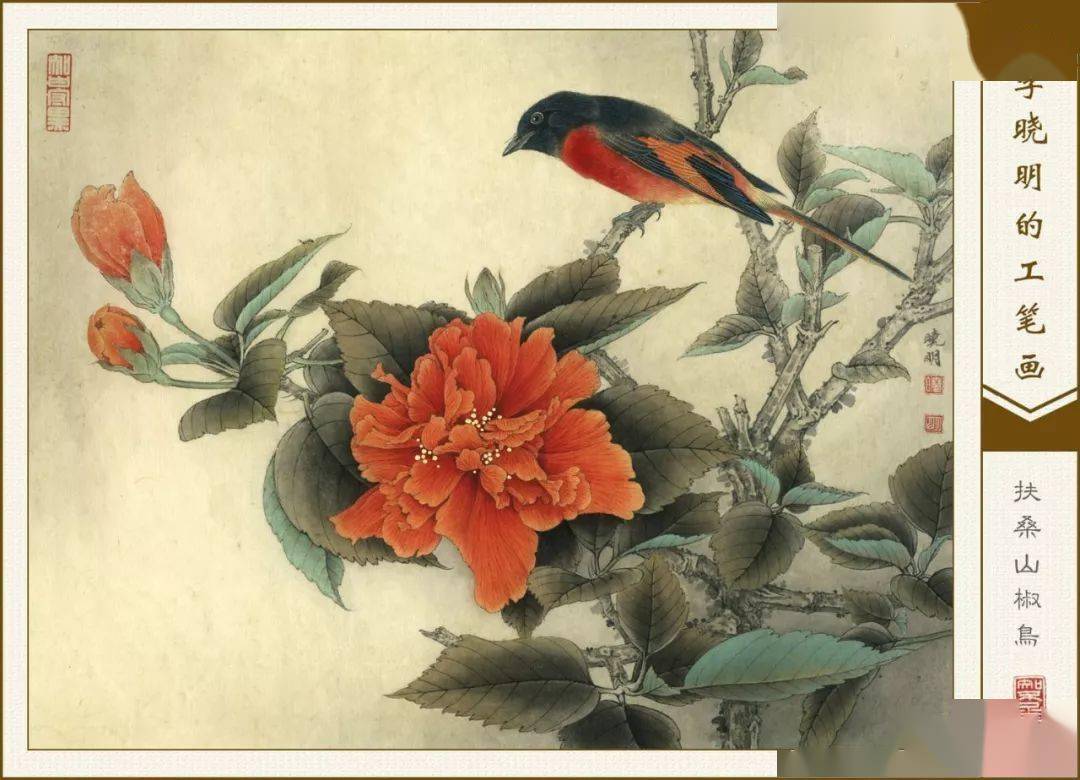 李晓明工笔花鸟53幅张张精彩漂亮