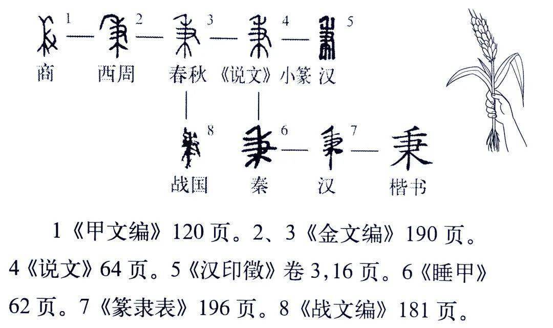 《说文解字》551课:细说秉字,秉公的秉字何义?