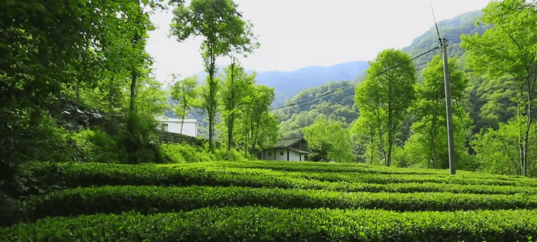 康养旅居最康县琼林玉树清风皓月涤荡天地间