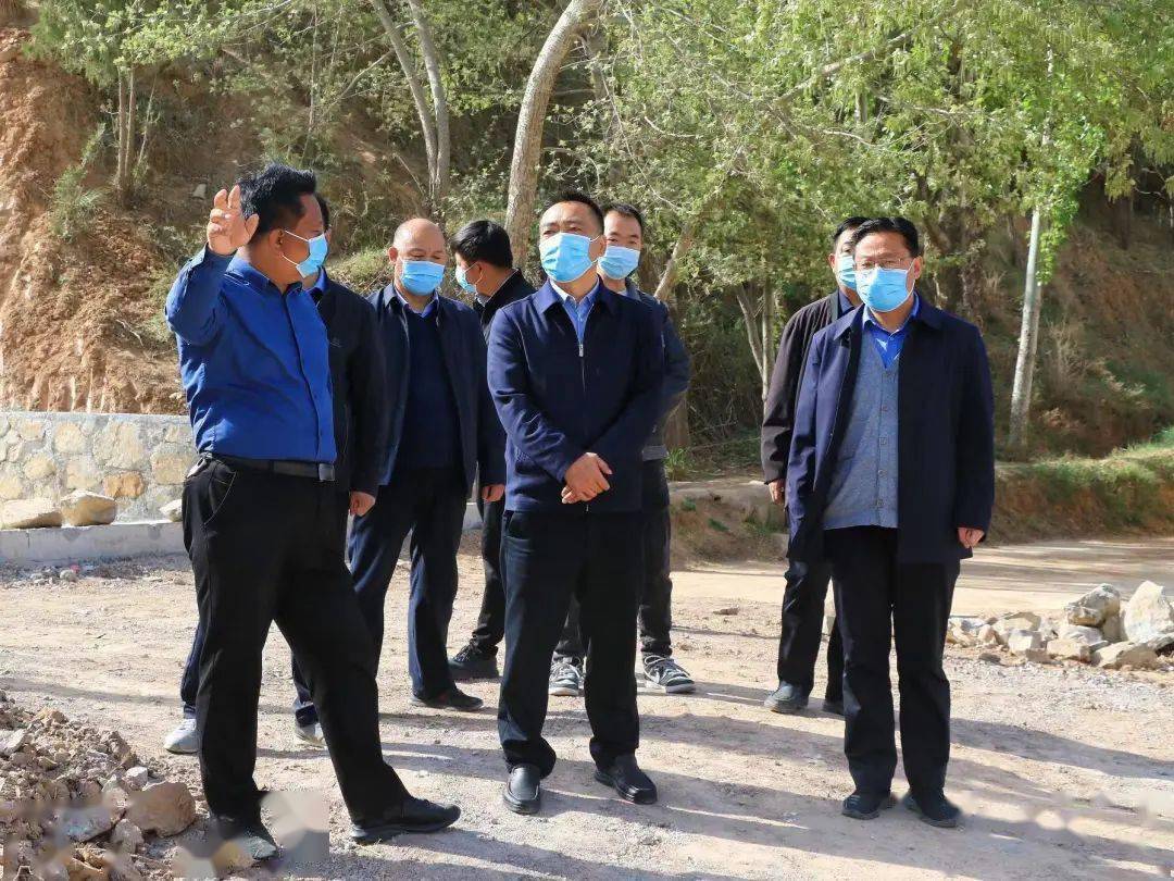 王新强检查指导城关镇美丽乡村建设工作_武山_节点_产业