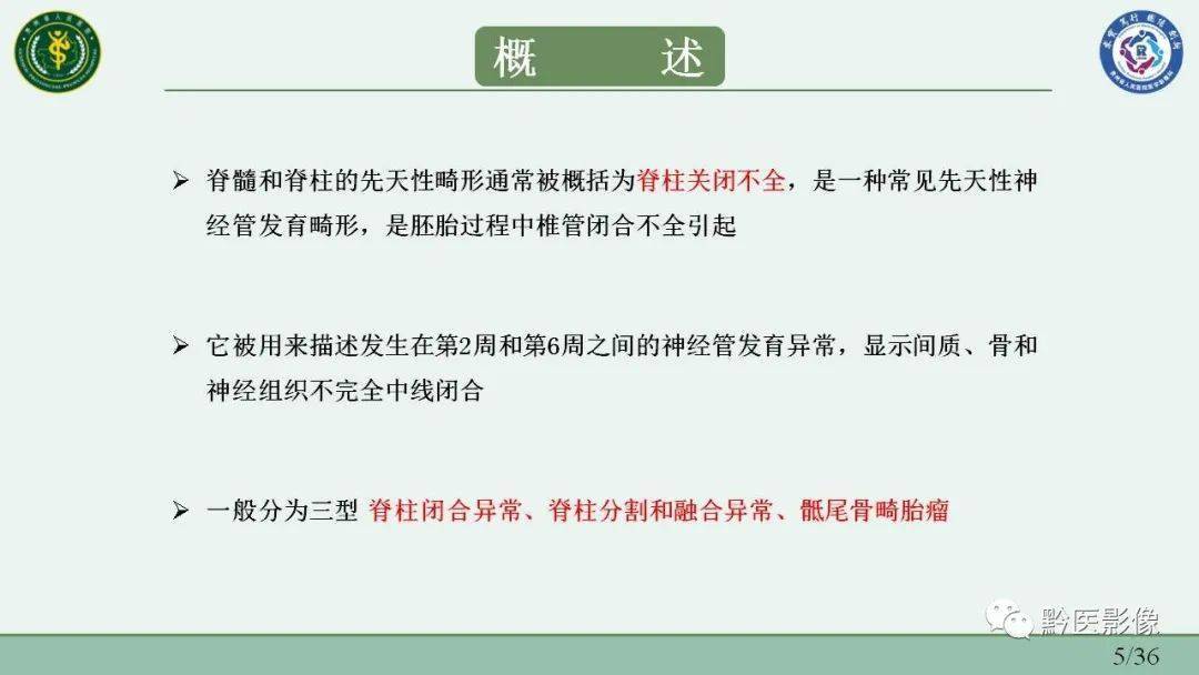 胎兒脊柱異常的多模態成像評估_劉家藝_診斷_脊髓