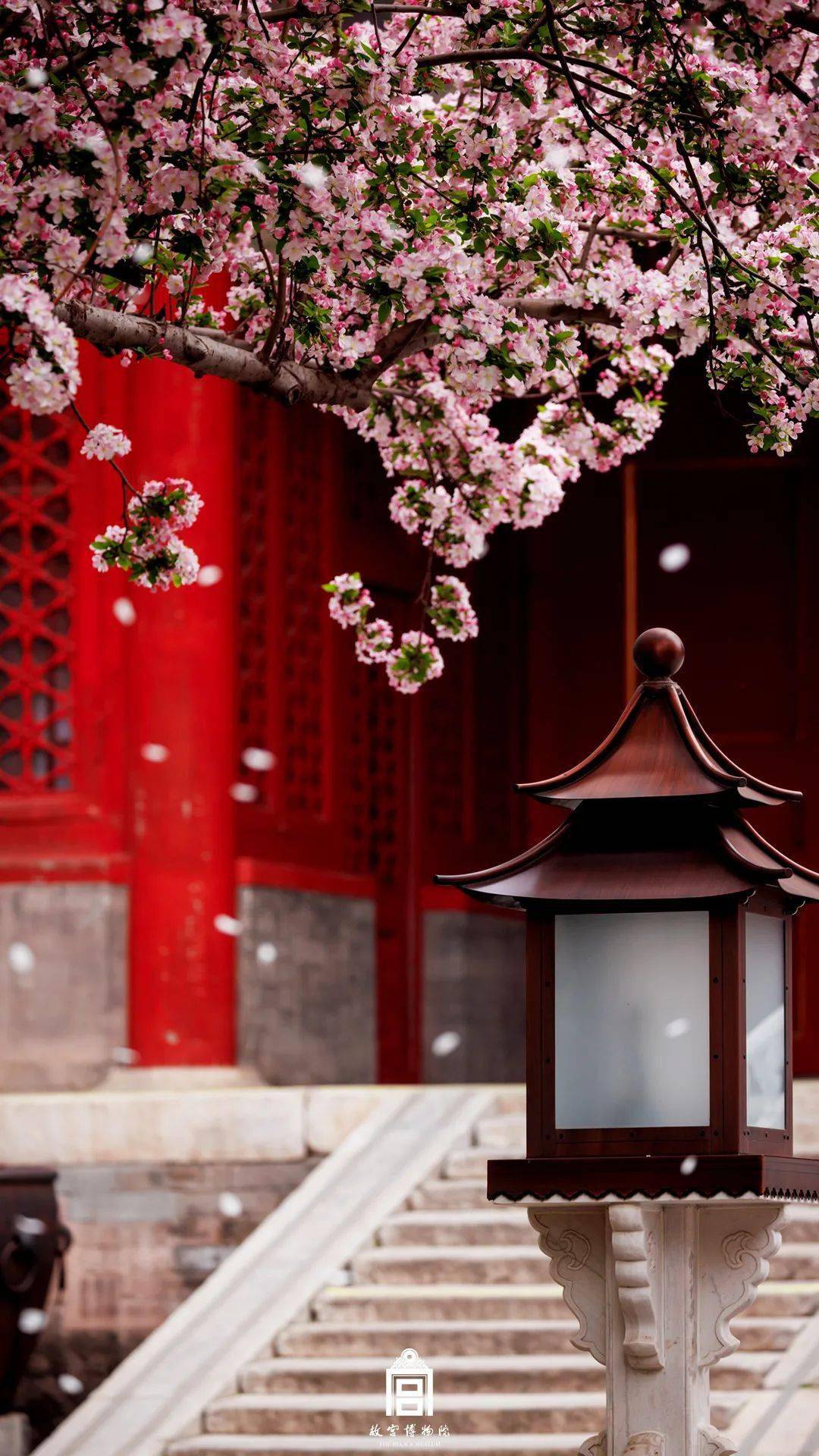 故宫的春天是一种什么感觉