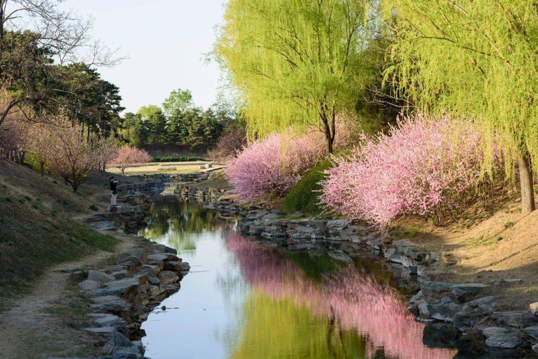 落英缤纷,带你走进圆明园的"桃花源"_武陵_春色_世外桃源