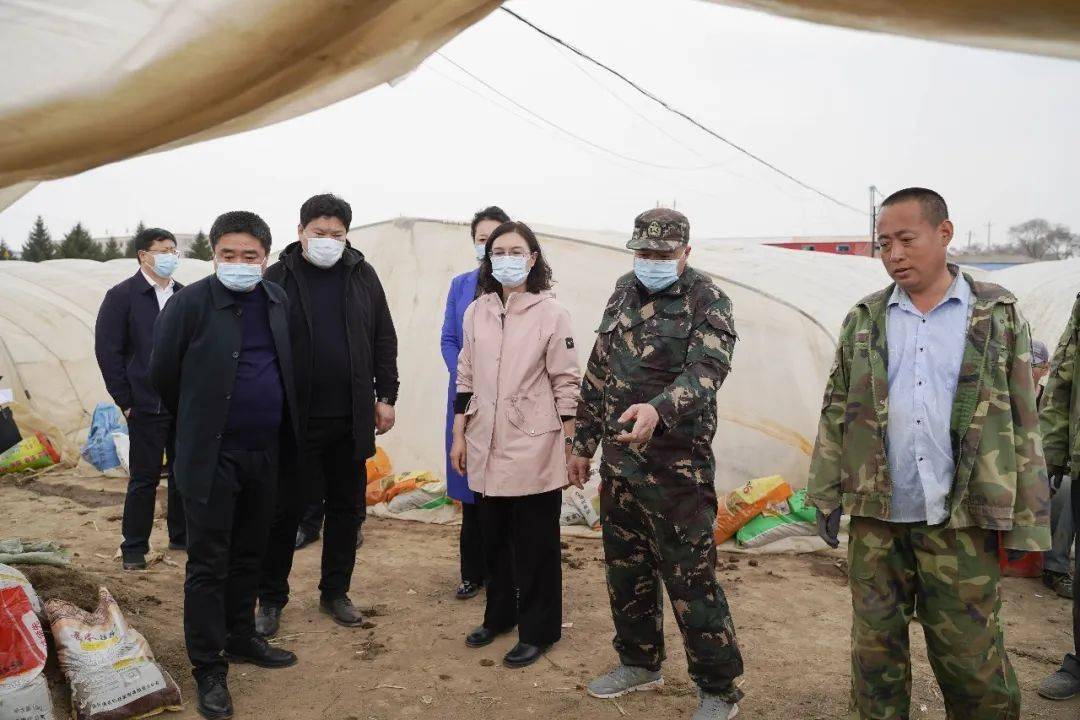 67副市长周艳春来辉南县调研_工作_徐世林_吉林省