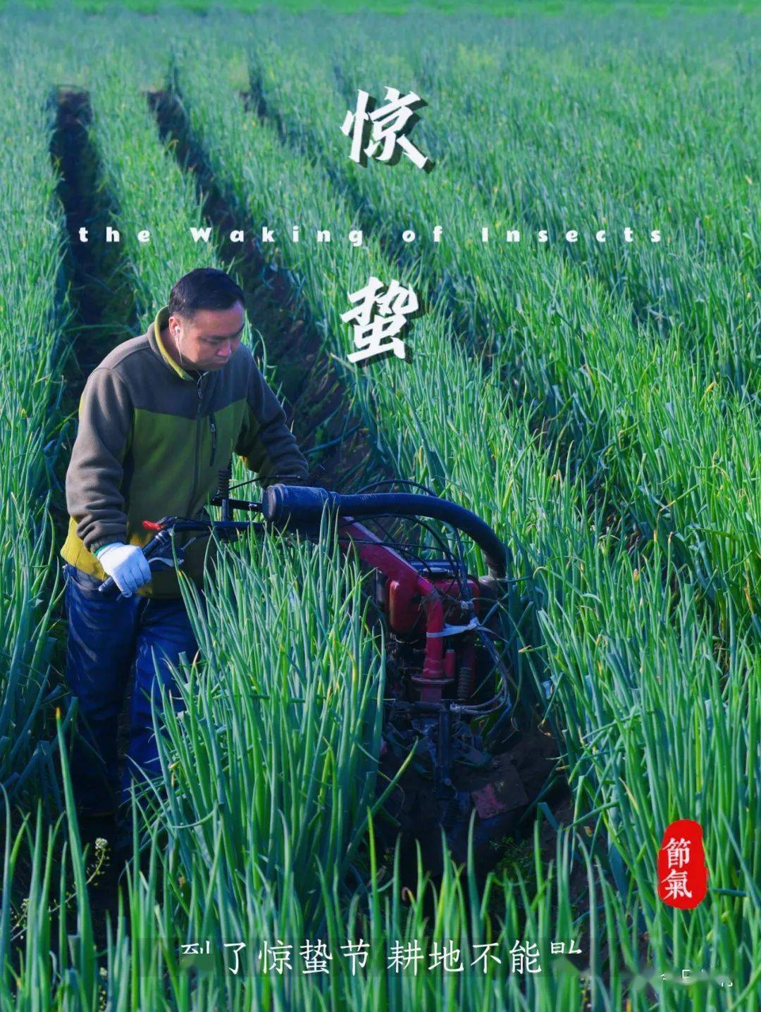 grain rain清明 pure brightness春分 the spring equinox惊蛰 the