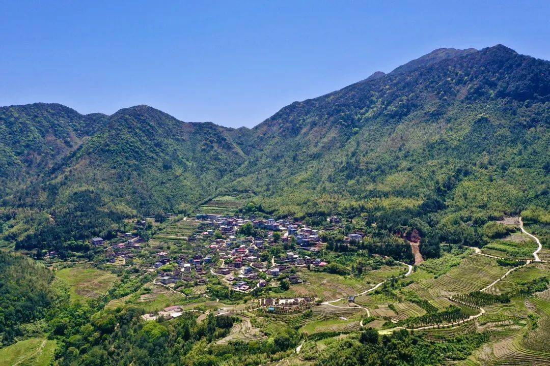 福在乡村芳菲四月梅营春好