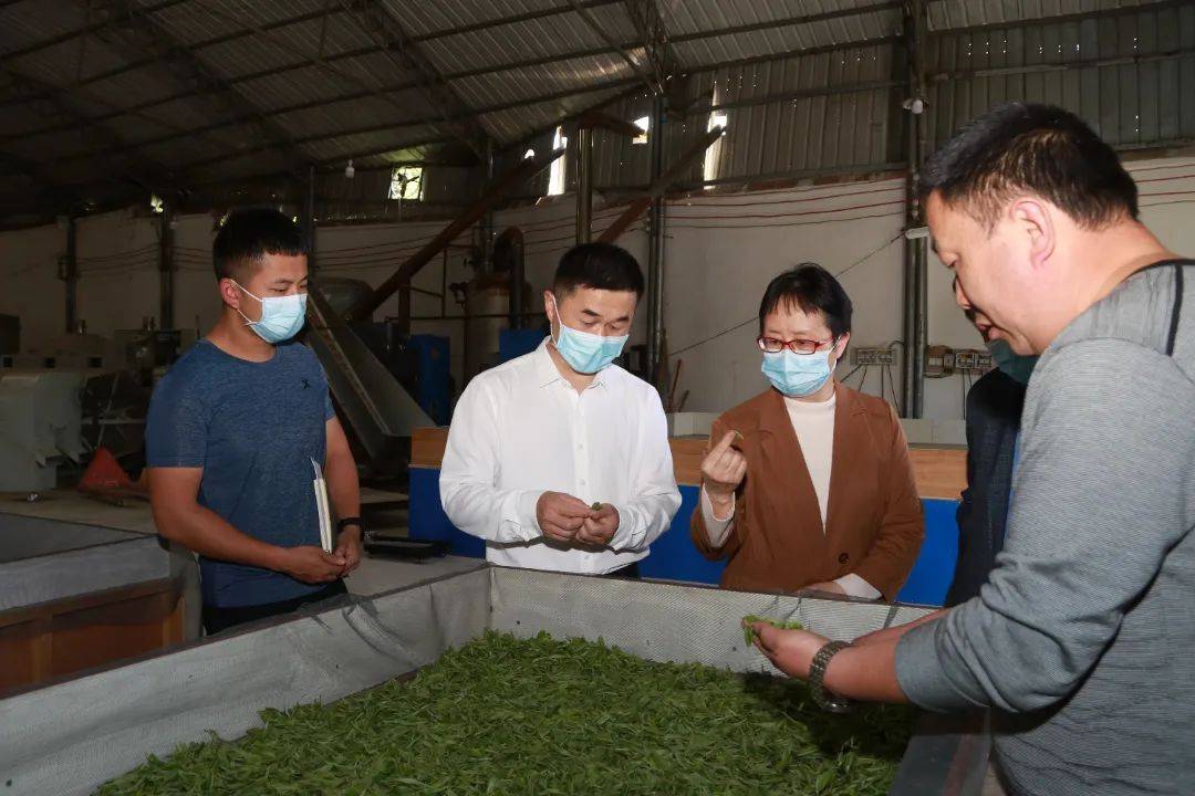 龙滨到龙泉镇,县城区部分企业走访调研_发展_丹寨县_疫情