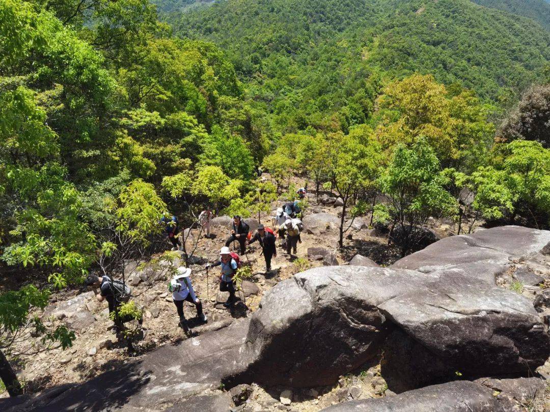 回顧爬山|挑戰85度的雞籠山,我們成功啦_惠東_惠州市_終點