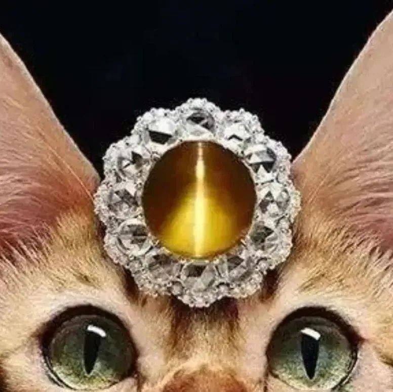 猫眼—世界五大名贵宝石之一_眼线_老人_猫睛