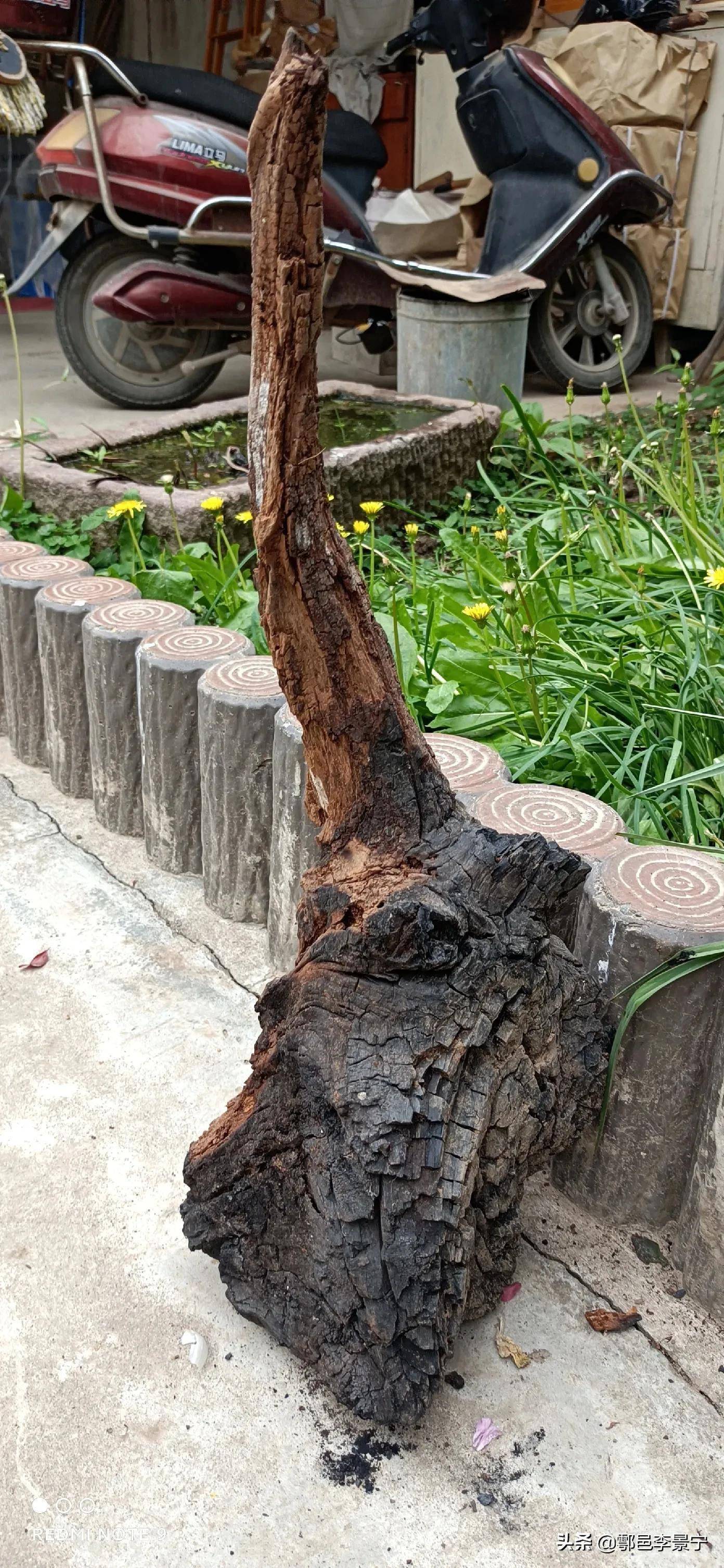 敬题大秦岭西安鄠邑雷击木楹联文李景宁