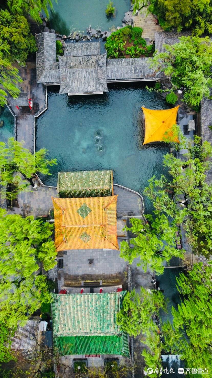 好景山东|航拍!济南趵突泉泉池如碧蓝美玉,雨中景色更迷人