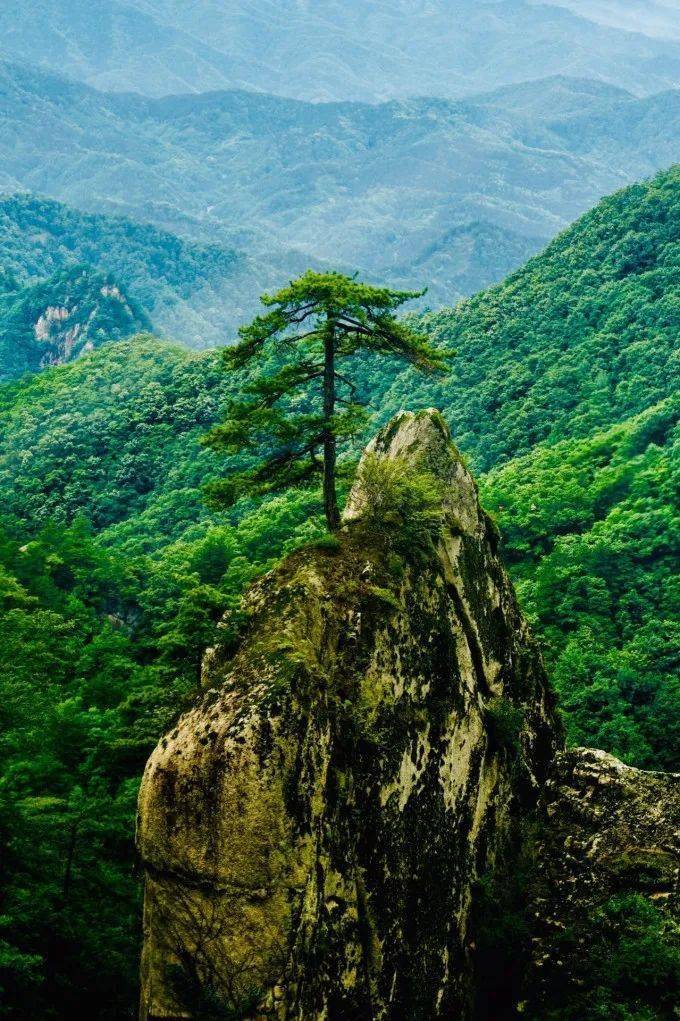 活动公告▏2022五一节伏牛山秘境养生休闲3日精品自驾之旅a线郑州出发