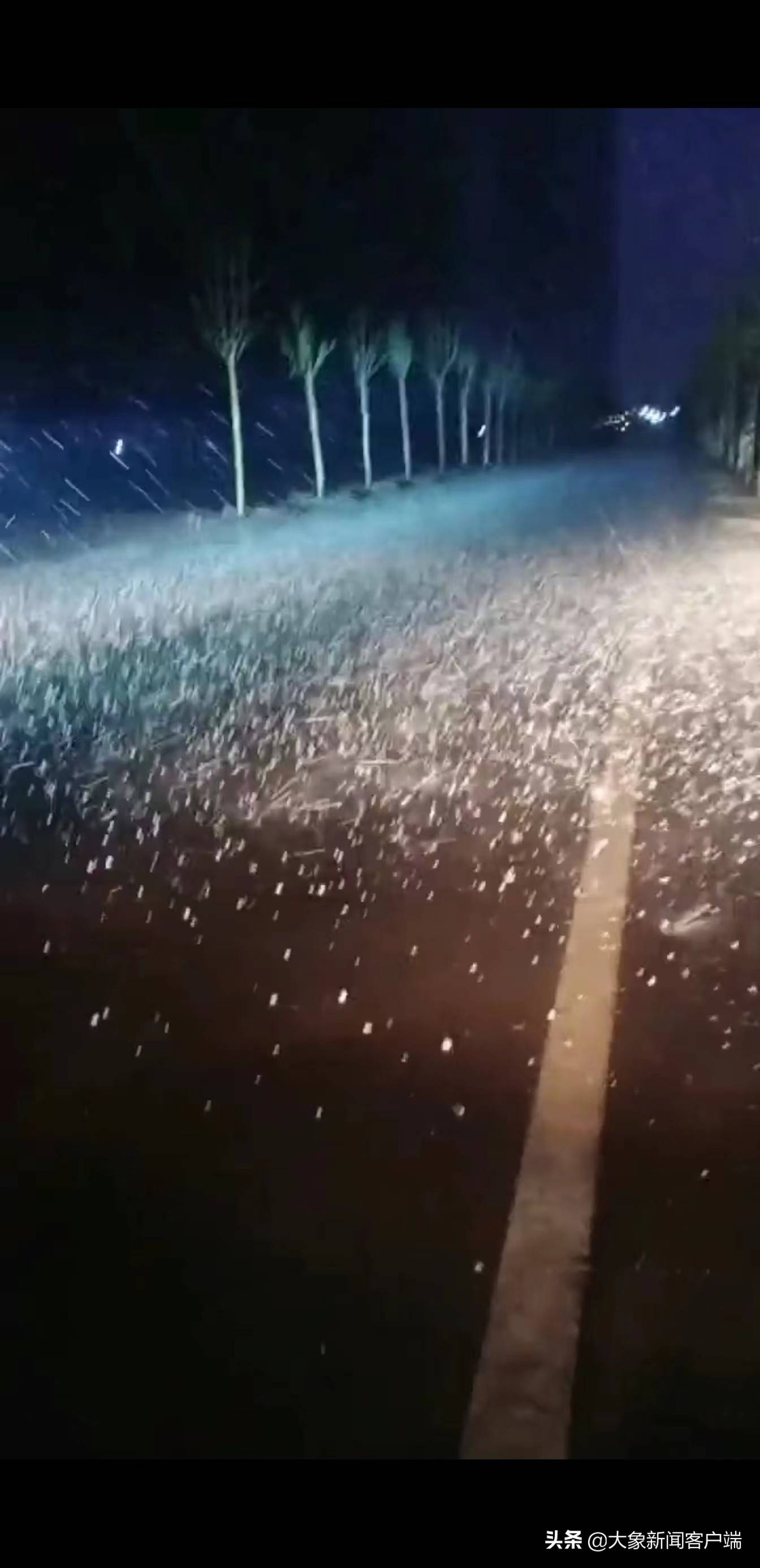 新乡遭遇狂风冰雹天气,最大冰雹直径10毫米 商户:市场大棚顶部全是洞