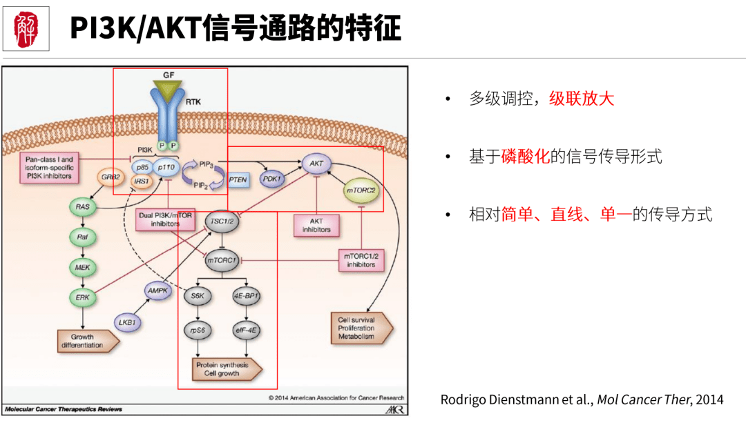 PI3K/Akt信号通路取得重要进展，这个热门信号通路必须要学_科研_细胞_研究