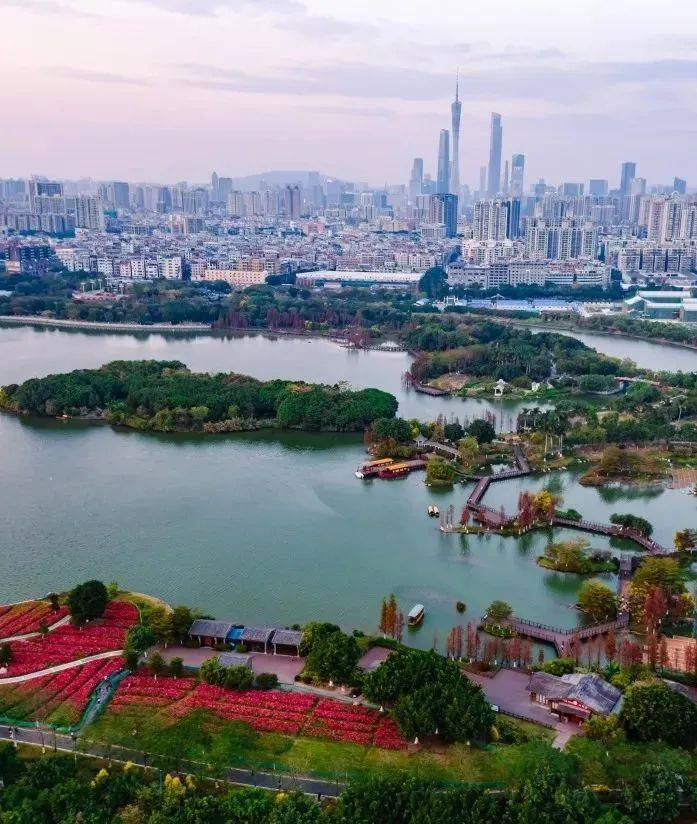 绿野仙踪般的"童话森林",竟然就在广州市中心!_公园_珠江_天河