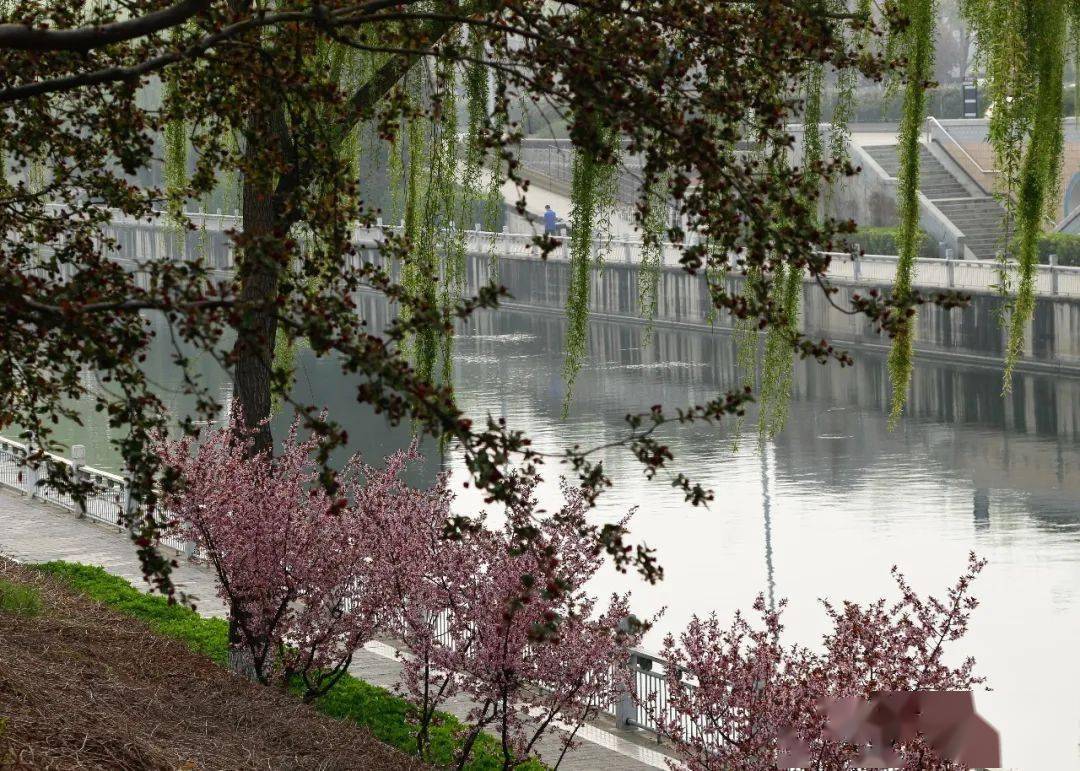 北京南二環,護城河春色_公園_搜索_河岸