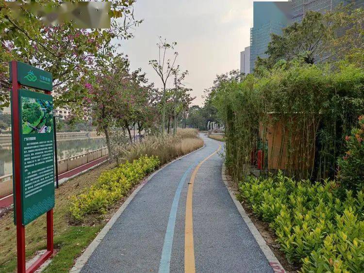 各获500万元佛山这两个区万里碧道建设成效获省资金激励