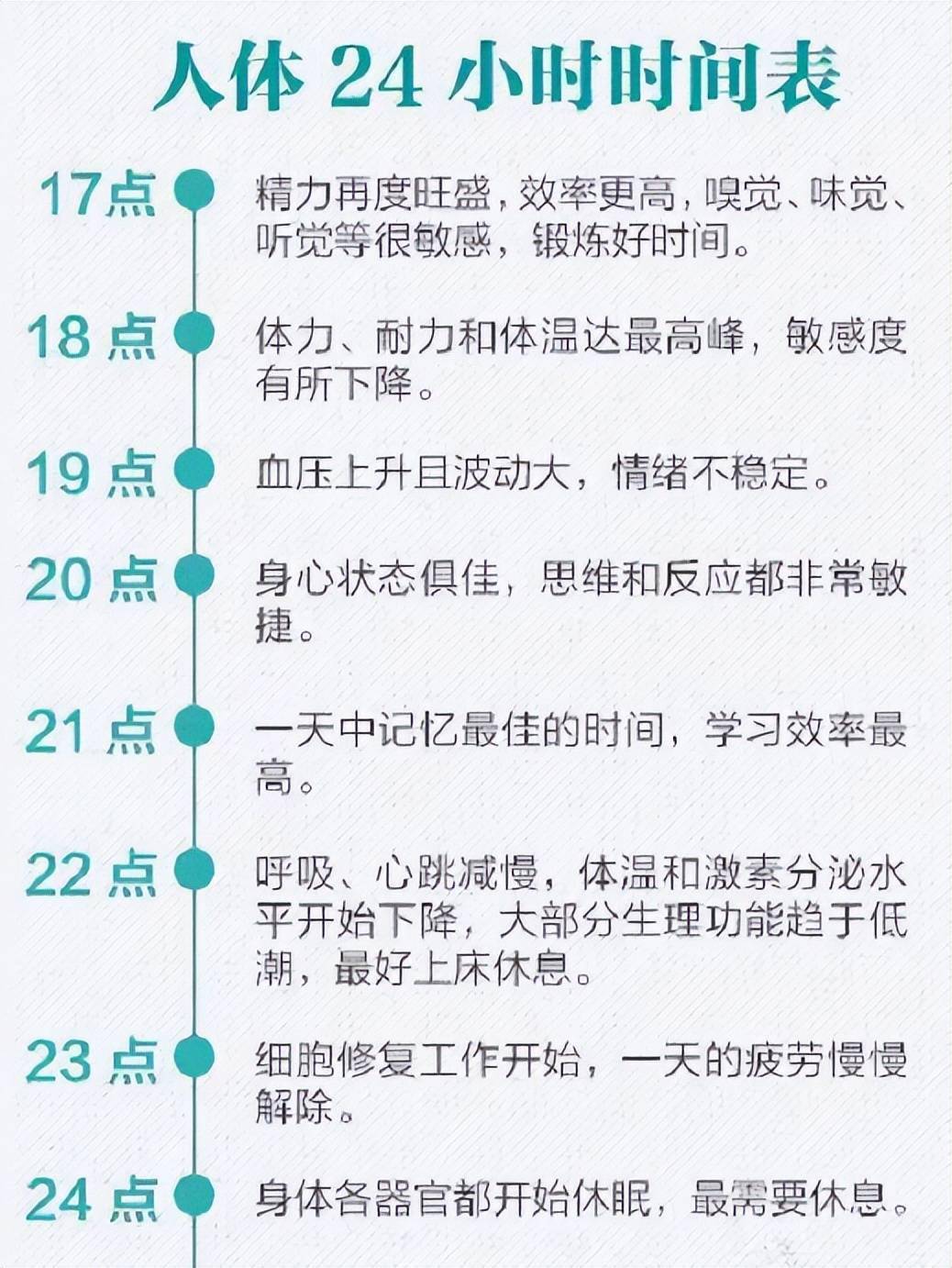 医生公布人体24小时时间表你知道每个时间段对身体的重要性吗