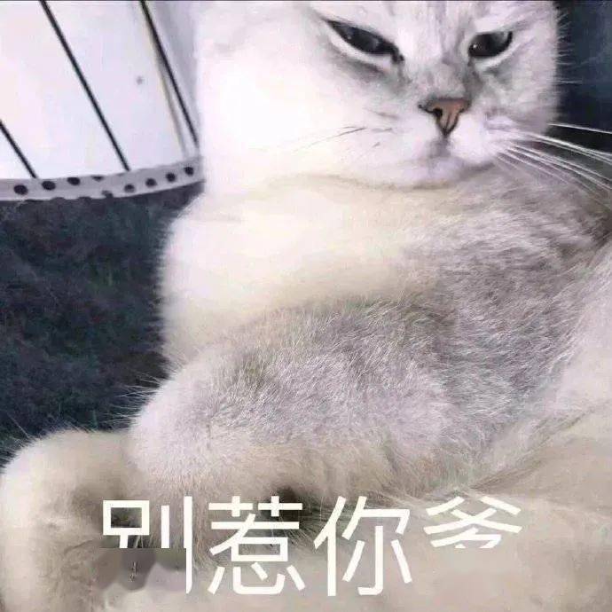 熊猫头发烧摸头表情包图片