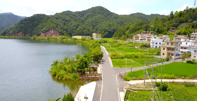 河源龙川县新田公路图片