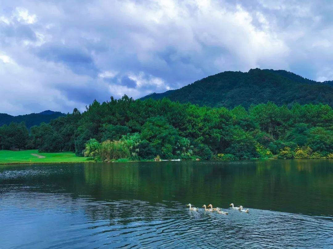 蒋佩琪30年绿色接力守护家乡绿水青山封面人物