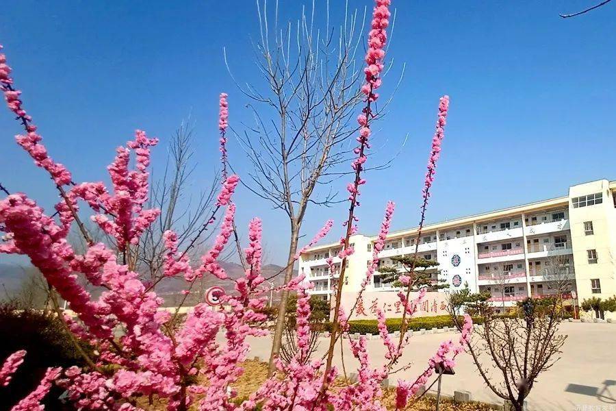 里中学执行校长 闫志刚|共克时艰 静待杏坛花再烂漫_工作_防疫_沂源县