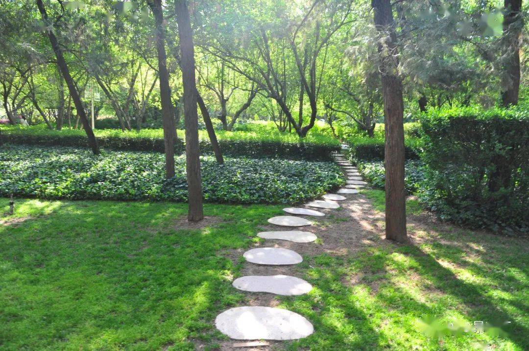 园路曲径通幽处