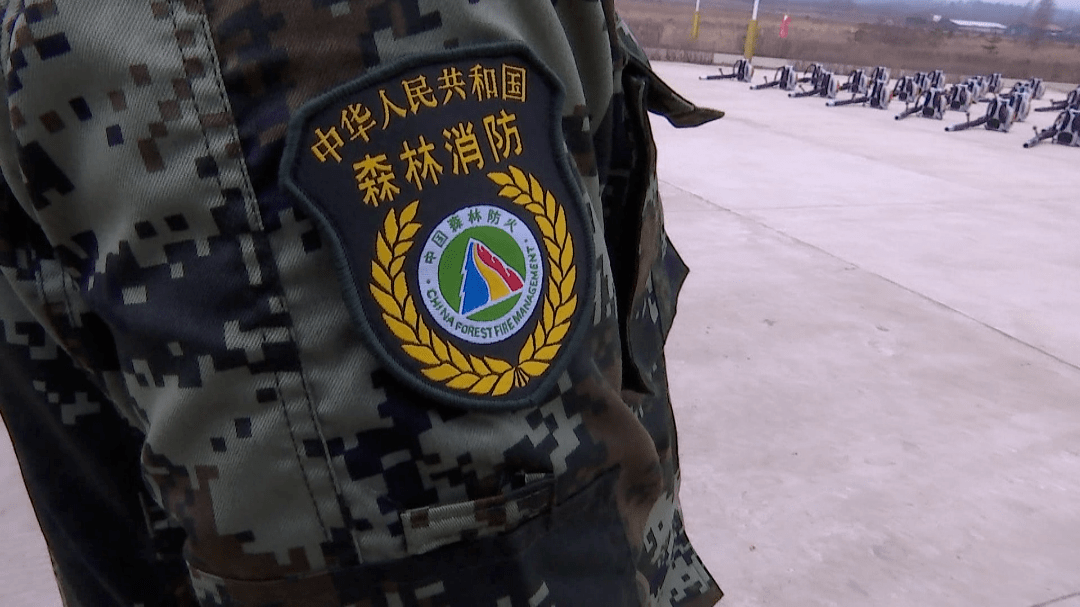 龙江森工字样的胸章,sf字母的领章,印有中国森林防火标志的帽徽