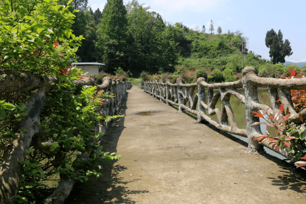 红花山生态园开江县普安镇水口庙村一组(导航搜索"红花山生态园"即可