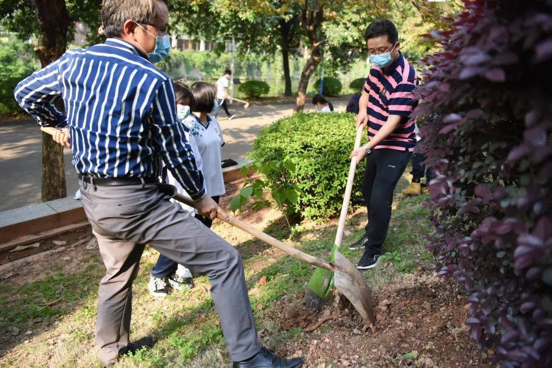 種植清廉樹踐行清廉風廉潔種子在校園發芽勞動教育活動啟動