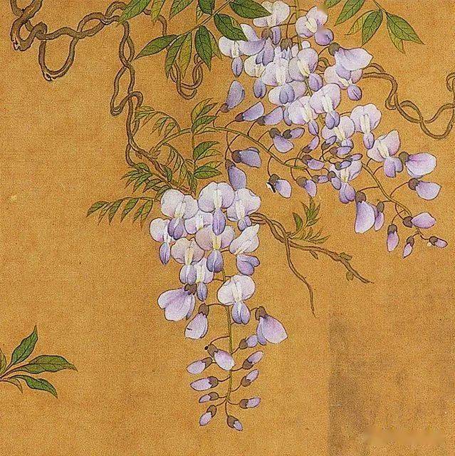 马荃_长卷_花卉