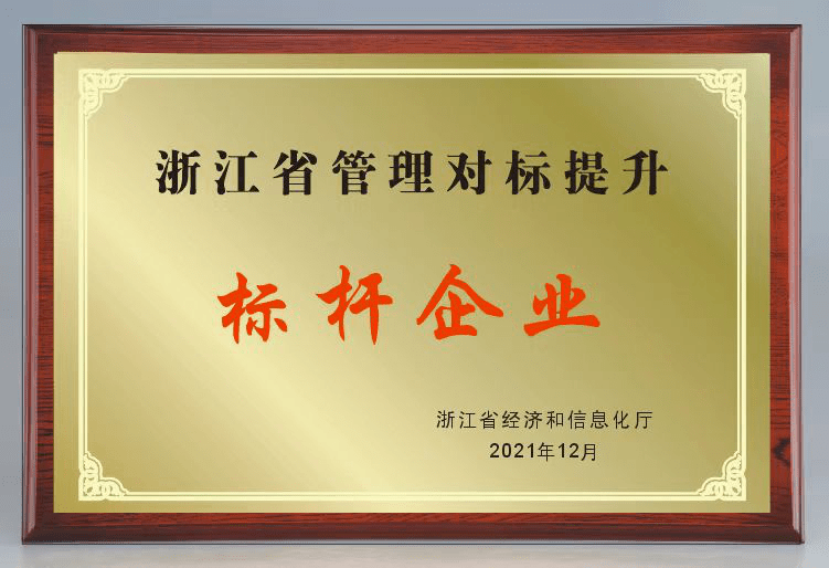 赞永嘉这家企业获评省级标杆