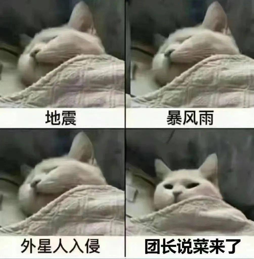 显然,它是一个组合词,其中stock的意思是"存货","储备",pile则表示"成