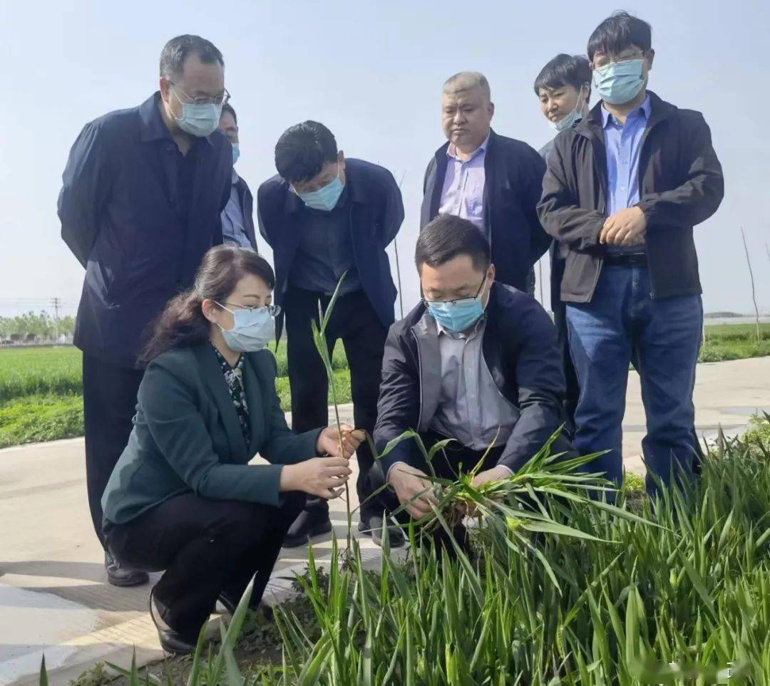 市委副书记于燕调研分包项目建设情况