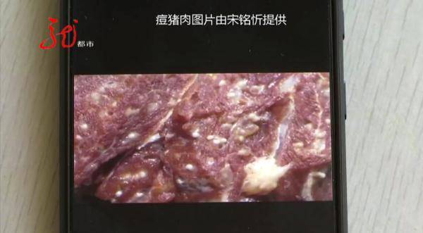 米猪肉恐怖图片图片