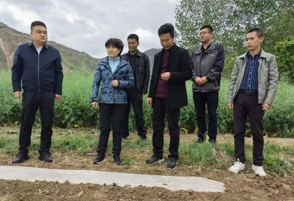 蒿林动态省政协副秘书长马彩云深入蒿林乡调研巩固拓展脱贫攻坚成果同