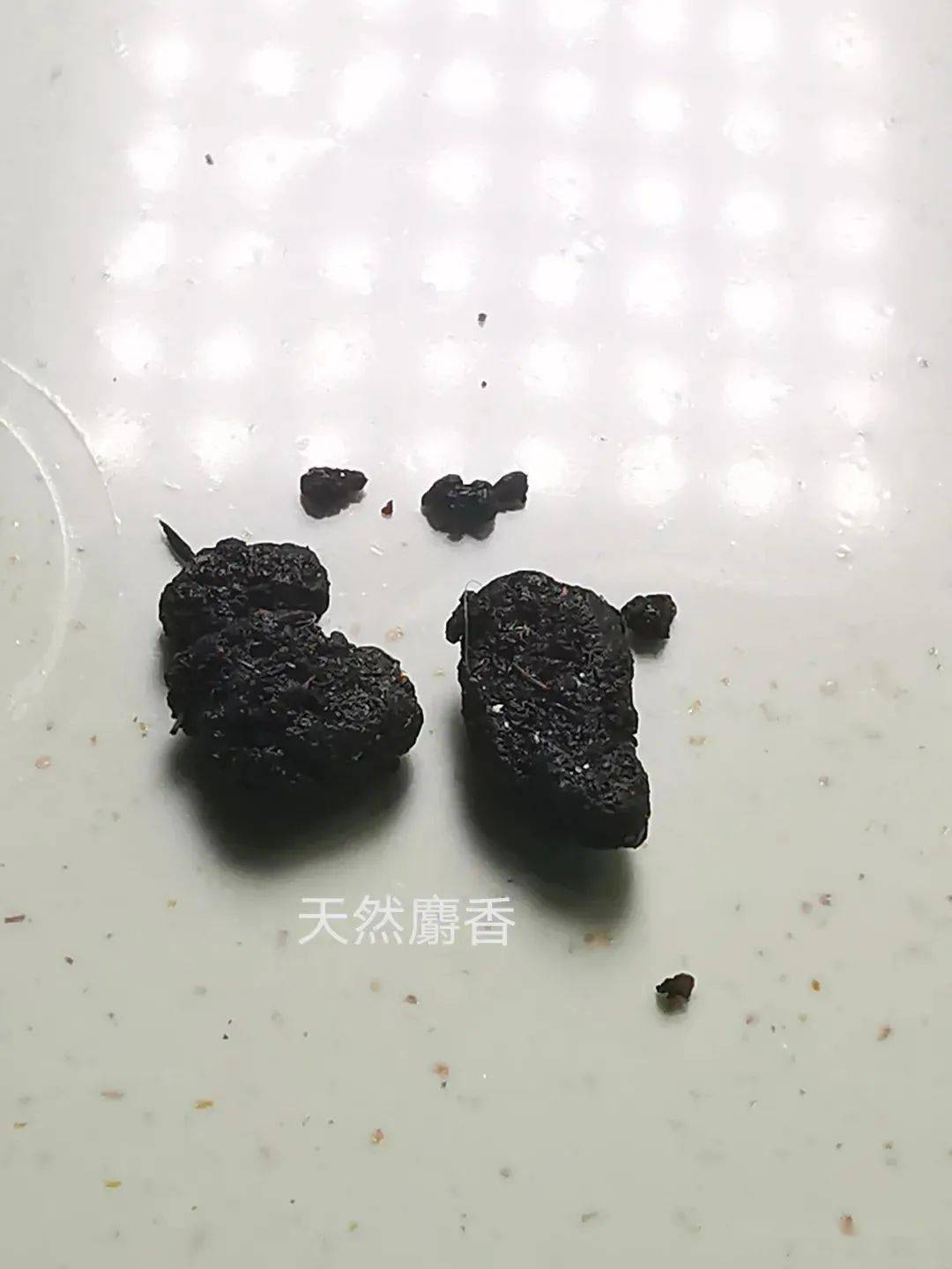 麝香闻起来是什么味道