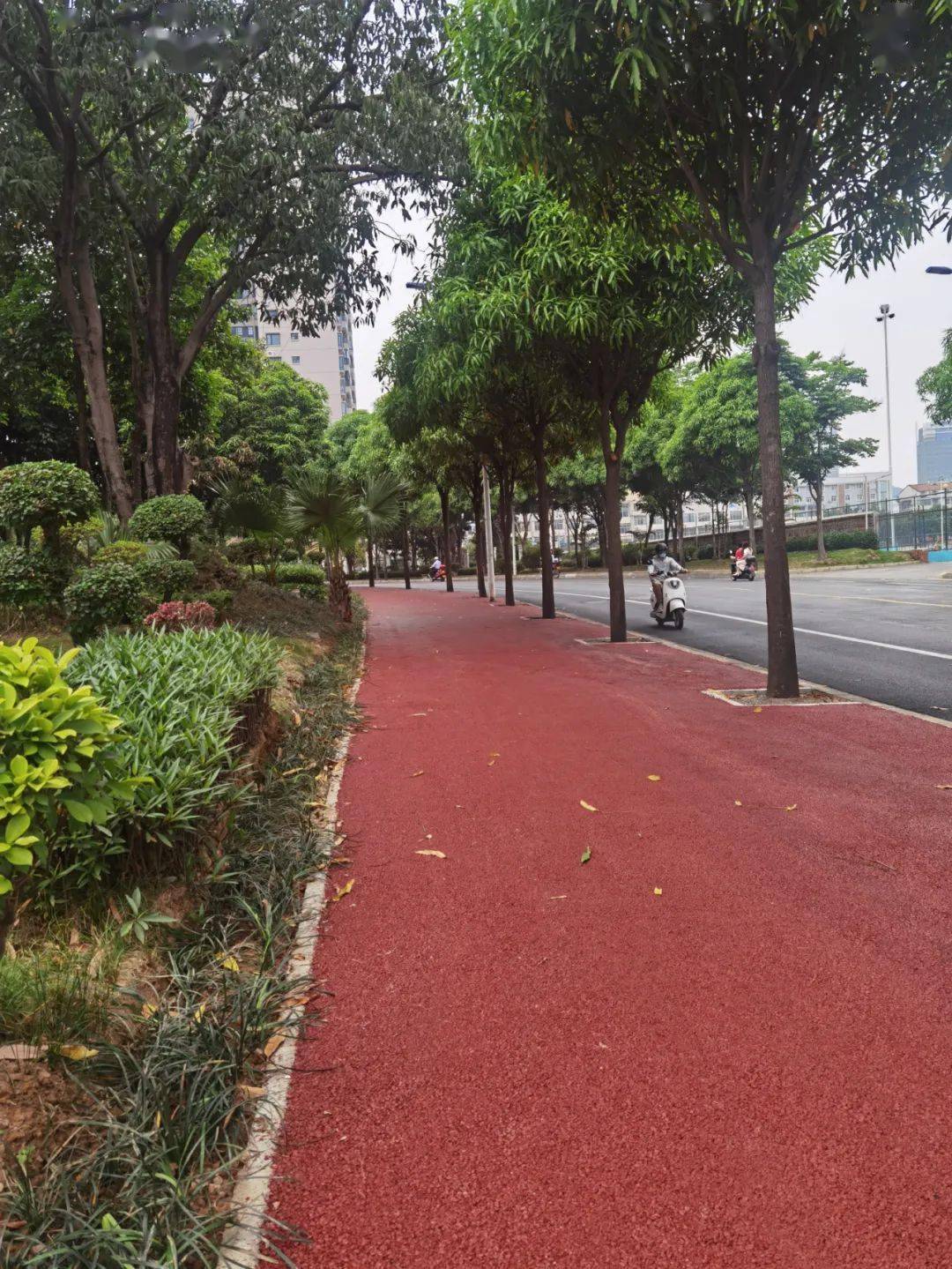 彩色沥青道景融合百色老城区人行道改造试点高颜值来袭
