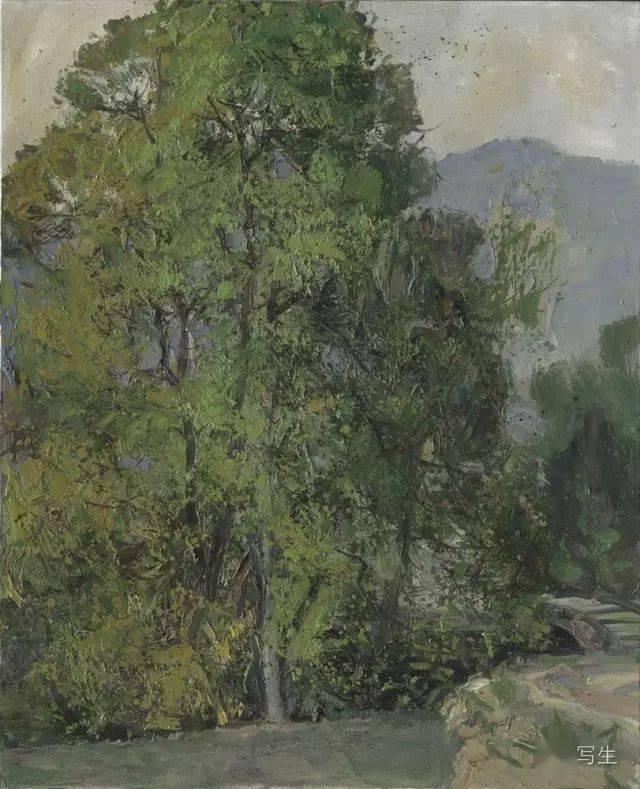 写生写生风景中释放魔力王少伦的绿海让人沉醉