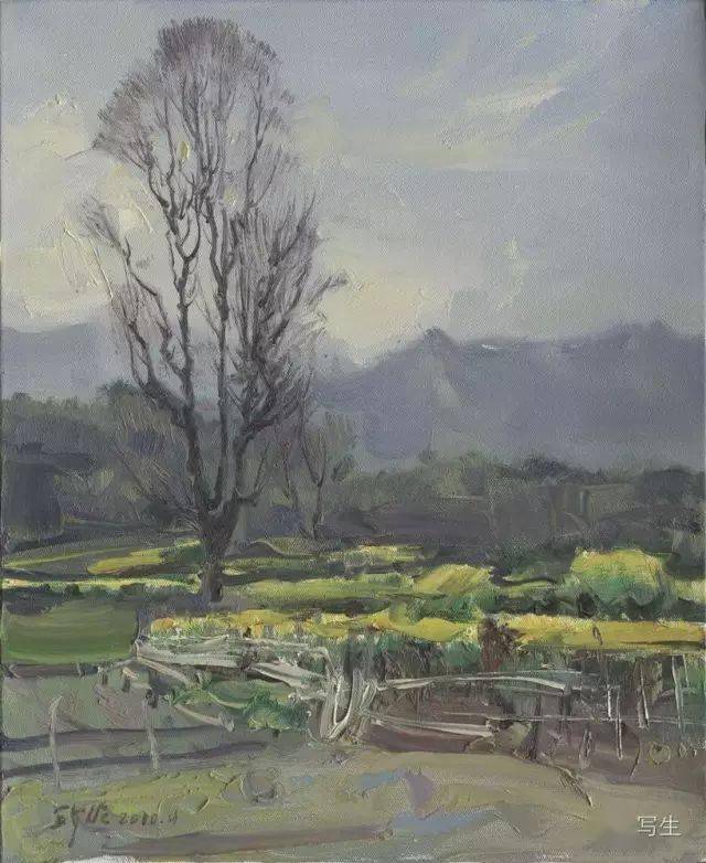 写生写生风景中释放魔力王少伦的绿海让人沉醉