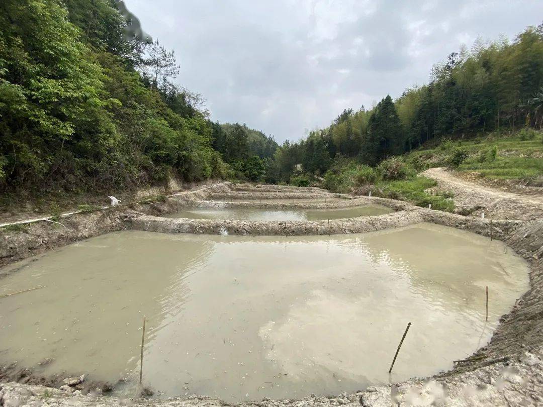 吾祠乡推进畜禽污染整治全力守护绿水青山