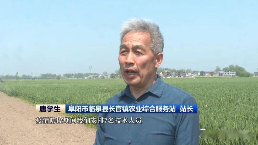 这两天,在临泉县长官镇,当地成立技术指导组,指导种粮大户选择高效