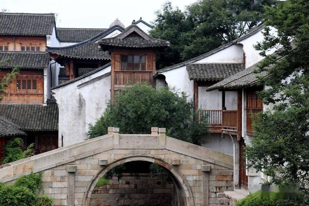 这里充满希望萌发着勃勃生机与活力图片由濮院镇提供编辑|李滢瑕责编