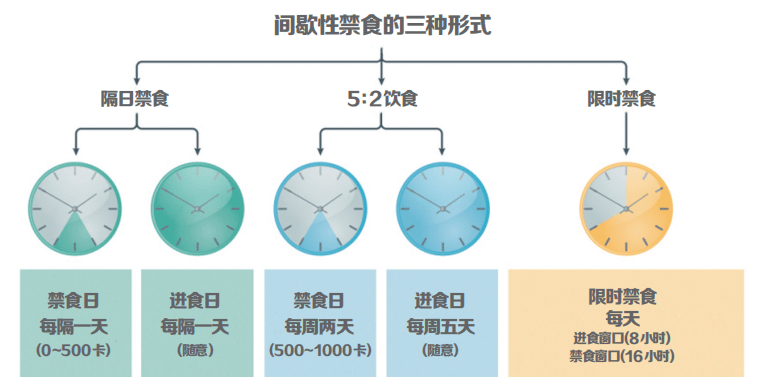 间歇性禁食到底能减肥吗更适合哪些人群来看看这项荟萃分析吧