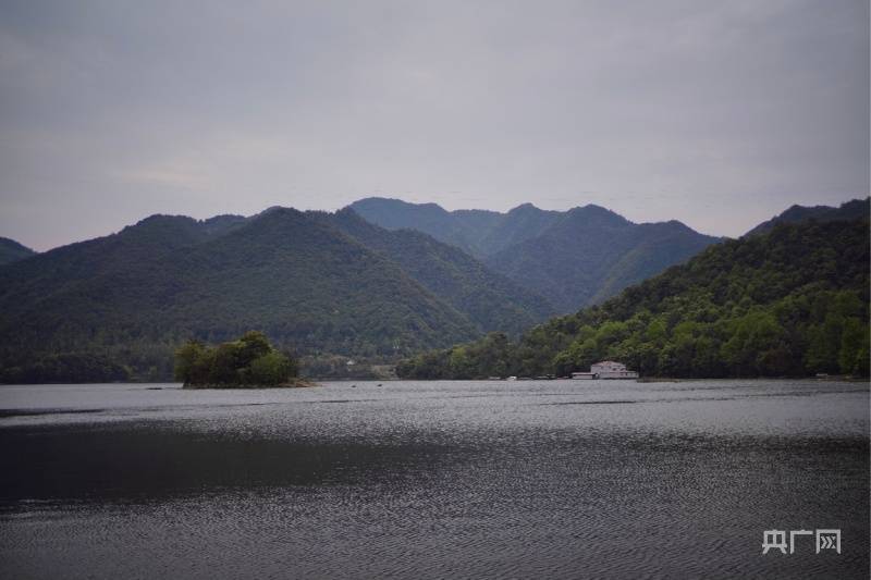 【浙里万水千山】湖谷溪涧岩石岭， 渔樵耕读山水情 央广网记者vlog记录富春桃源半日行