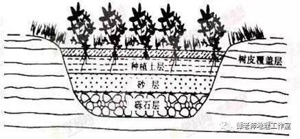 看海绵城市,雨水花园是如何和高考地理挂钩的!